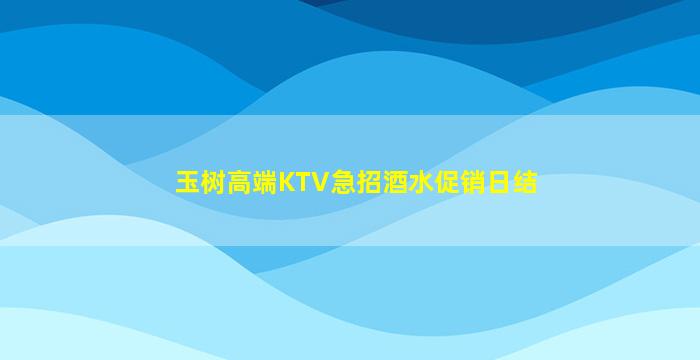 玉树高端KTV急招酒水促销日结
